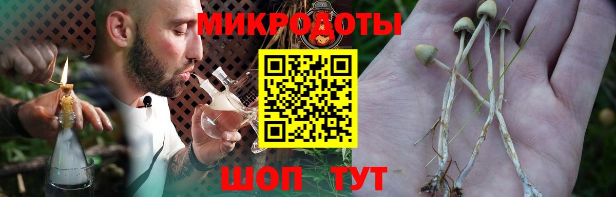 где можно купить   Вход с VPN  Тольятти  Псилоцибиновые грибы GOLDEN TEACHER 